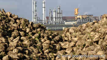 Oekraïense export hindert Franse suikersector