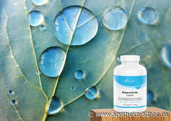 Basencitrate Kapseln mit Zink zur Unterstützung des Säure-Basen-Haushaltes