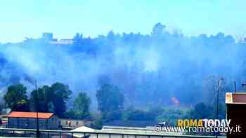 Incendio a Boccea: bruciano sterpaglie e alberi. Fiamme anche a Guidonia
