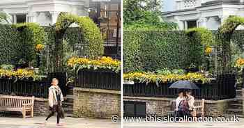 New Bridget Jones film set causes stir in Hampstead