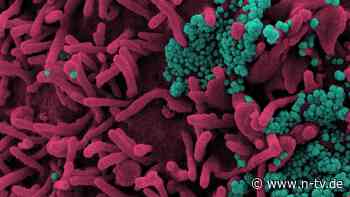 Eine Erklärung für Long Covid?: Auch milde Covid-Infektion schwächt Immunsystem langfristig