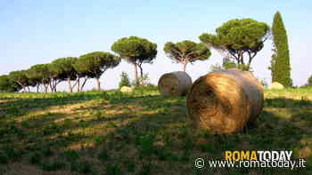 L'Inviolatella Borghese diventerà il paradiso dei campeggiatori di Roma nord