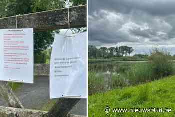 Opnieuw vijftig dode watervogels aangetroffen in Jutse Plassen: “Oorzaak is onduidelijk”