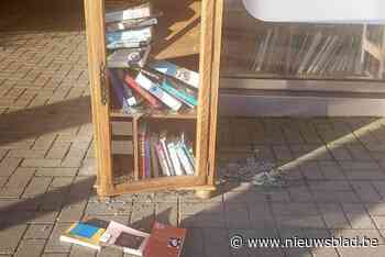 Vandalen vernielen boekenkastje, en dat is niet de eerste keer: “Wie iets gezien heeft, mag zich melden”