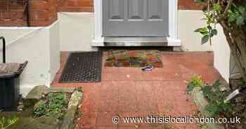 West Dulwich party sees knives left in gardens of houses