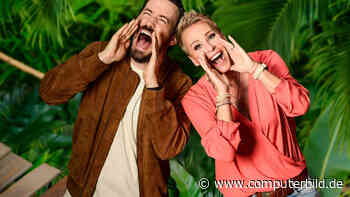 Dschungelcamp feiert im August 2024 eine große Premiere