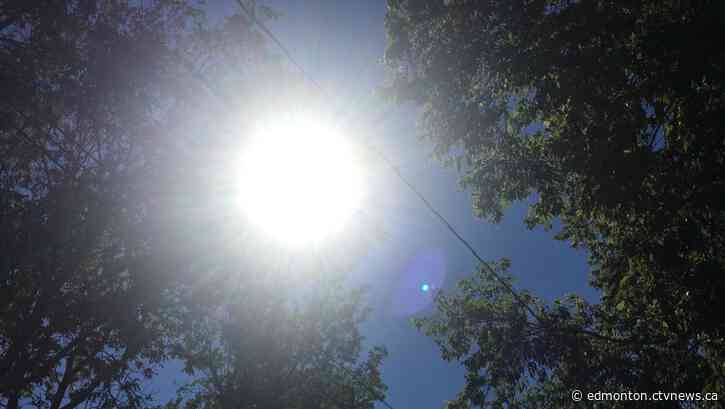 Heat could hang over Alberta for 10 days, bringing highs up to 36 C