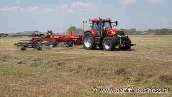 Markt wacht met smart op mooi droog hooiweer