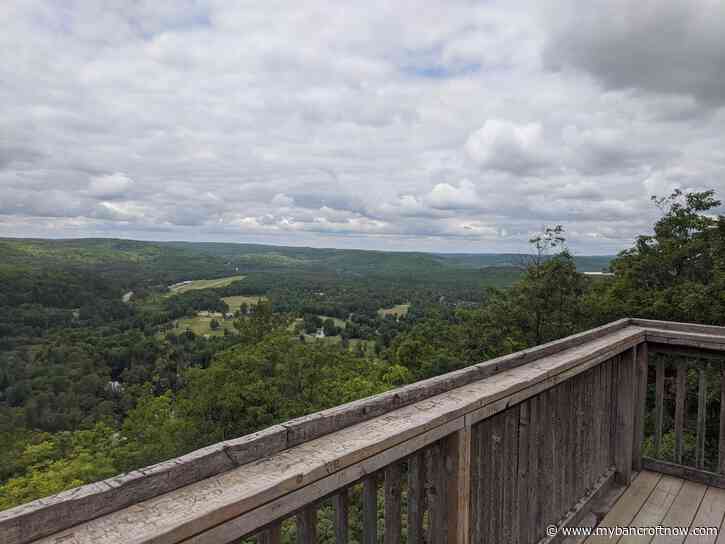 Guided Forest Walk Wednesday at Bancroft’s Eagles Nest Park 