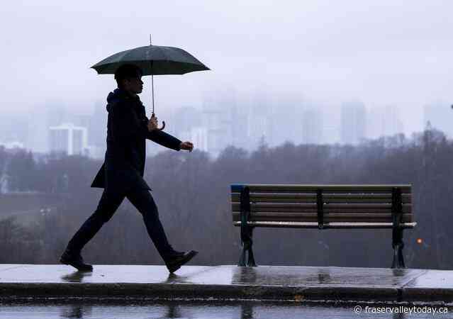 Flooding on DVP in Toronto as torrential rain hits city, GTA