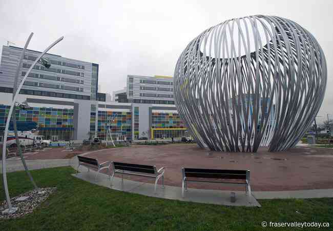 Quebec court orders hospital to keep woman on life support so she can die in Nigeria