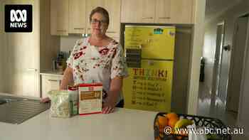 As the cost-of-living crisis takes its toll on Australians, some are looking outside the box for solutions