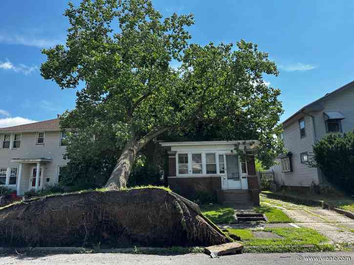 LOOK: Severe storms leave damage in northeast Indiana