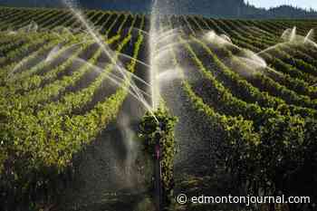 Alberta and B.C. reach deal allowing direct-to-customer wine sales