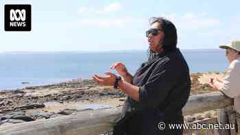 Rise in truth-telling tourism reckons with 'original story of Australia'