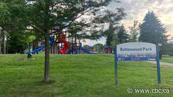 Somali recreation centre planned for Toronto park faces opposition