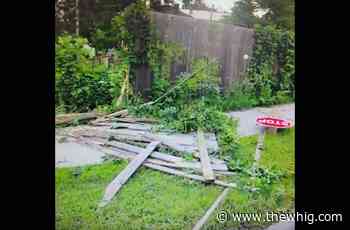 OPP searching for driver of truck that struck fence, drove off