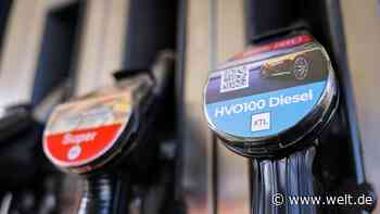 FDP-Staatssekretär setzt Schirmherrschaft für Kraftstoff-Kampagne aus