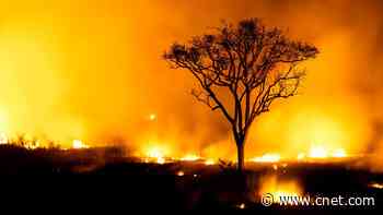 Free New Heat Warning System Will Help You Dodge the Dangers of Summer Temps