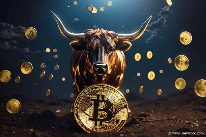 Bitcoin, Ethereum Rising: Analyst Explains Why The Next Bull Run Will Be “Crazier”?