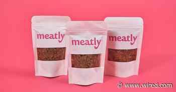 Lab-Grown Meat for Pets Was Just Approved in the UK