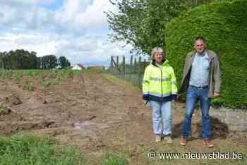 Noodoplossing op korte termijn voor water- en modderproblematiek Smisstraat, buurtbewoners willen structurele oplossing