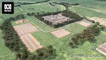 SA's newly approved battery will be more than three times the size of famous 'Tesla battery'