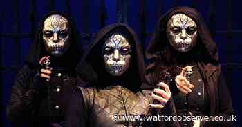 Leavesden's Harry Potter tour confirms new attractions