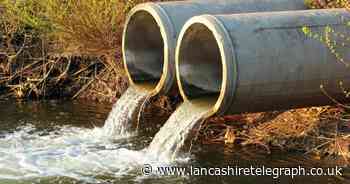 Ofwat to probe England and Wales water firms over sewage