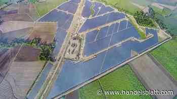 Öko-Investments : Schock für 27.000 Anleger: Thomas Lloyd droht Solaranlagen zu verlieren