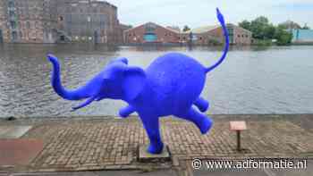 Koninklijke Jumbo kiest na pitch voor New Kith