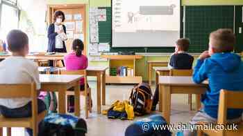 Disruptive children could have smaller brains than their well-mannered classmates, new study reveals