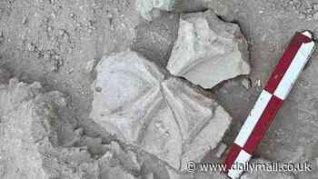 Archaeologists discover long-lost Christian 'palace' in the Middle East which sheds new light on religion's history before Islam