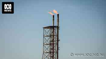 Gas giant Woodside joins carbon farming 'gold rush' with $40m purchase of NSW grazing land