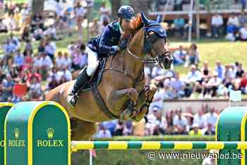 Nooit zoveel Wase paarden op de Olympische Spelen: “Onze fokkers zijn wereldtoppers”