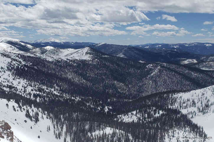 Monarch's No Name Expansion Is Finally Underway