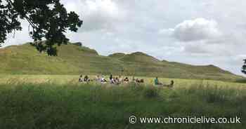 Northumberland nature charity scoops three national awards
