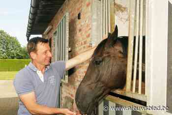 Paardenspoedarts David Buschman vertrekt naar Olympische Spelen: “Ik voel me vereerd maar hoop ook dat ik daar géén werk zal hebben”