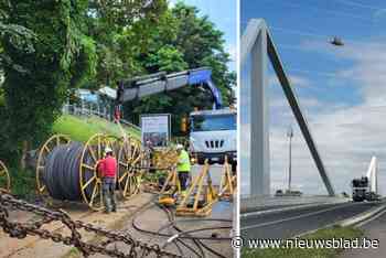 Elia vernieuwt hoogspanningslijnen tussen Kempen en Limburg: “Stroomverbruik gaat als raket omhoog”