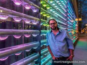 Why can't Montreal have a nightlife mayor? (Even Ottawa has one)