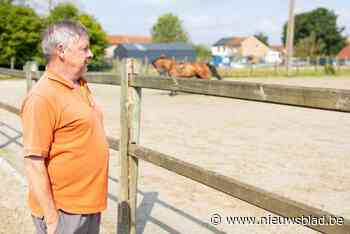 Paarden- en ponyclub Levade viert 20ste verjaardag: “We willen het laagdrempelig houden voor jong en oud”