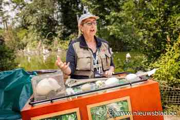 Gidsenvertellingen in Planckendael brengen verhalen van dieren tot leven: “Bezoekers leren zo op een leuke manier iets bij”