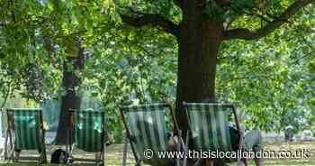 Yellow heat health alert issued for London in heatwave