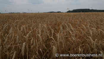 Bodem in de markt is bereikt nu klanten kopen