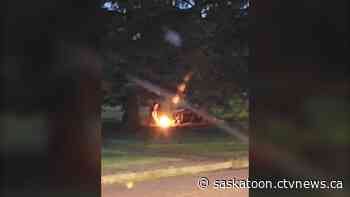 Saskatoon group wants city to trim trees to get campers out of their parks