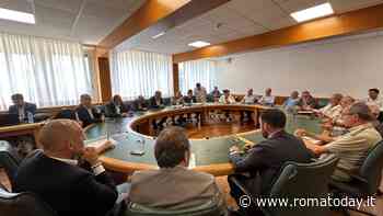 Più facile sparare ai cinghiali. Così la regione affronta l'emergenza