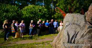 Domestic violence strategy should include more prevention programs: experts