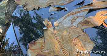 Alberta man says Ram truck’s paint job ‘not tough enough’