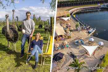 Tussen de dieren of aan het water: in deze tien zomerbars in jouw regio geniet je van een verfrissend drankje