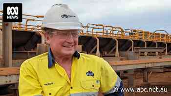 'Twiggy is not walking back from hydrogen': Forrest plays down impact of Fortescue job cuts